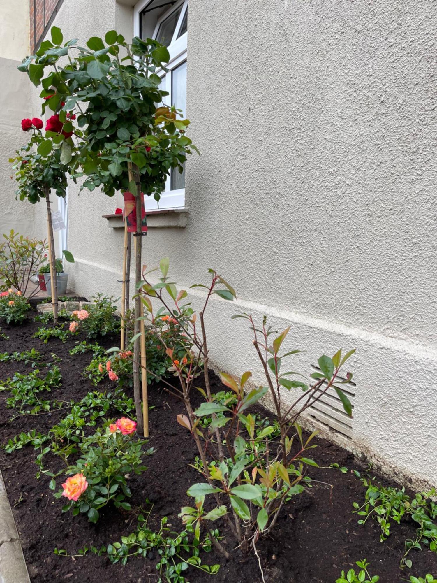 Apartament Hofquartier Schwerin Schwerin  Zewnętrze zdjęcie