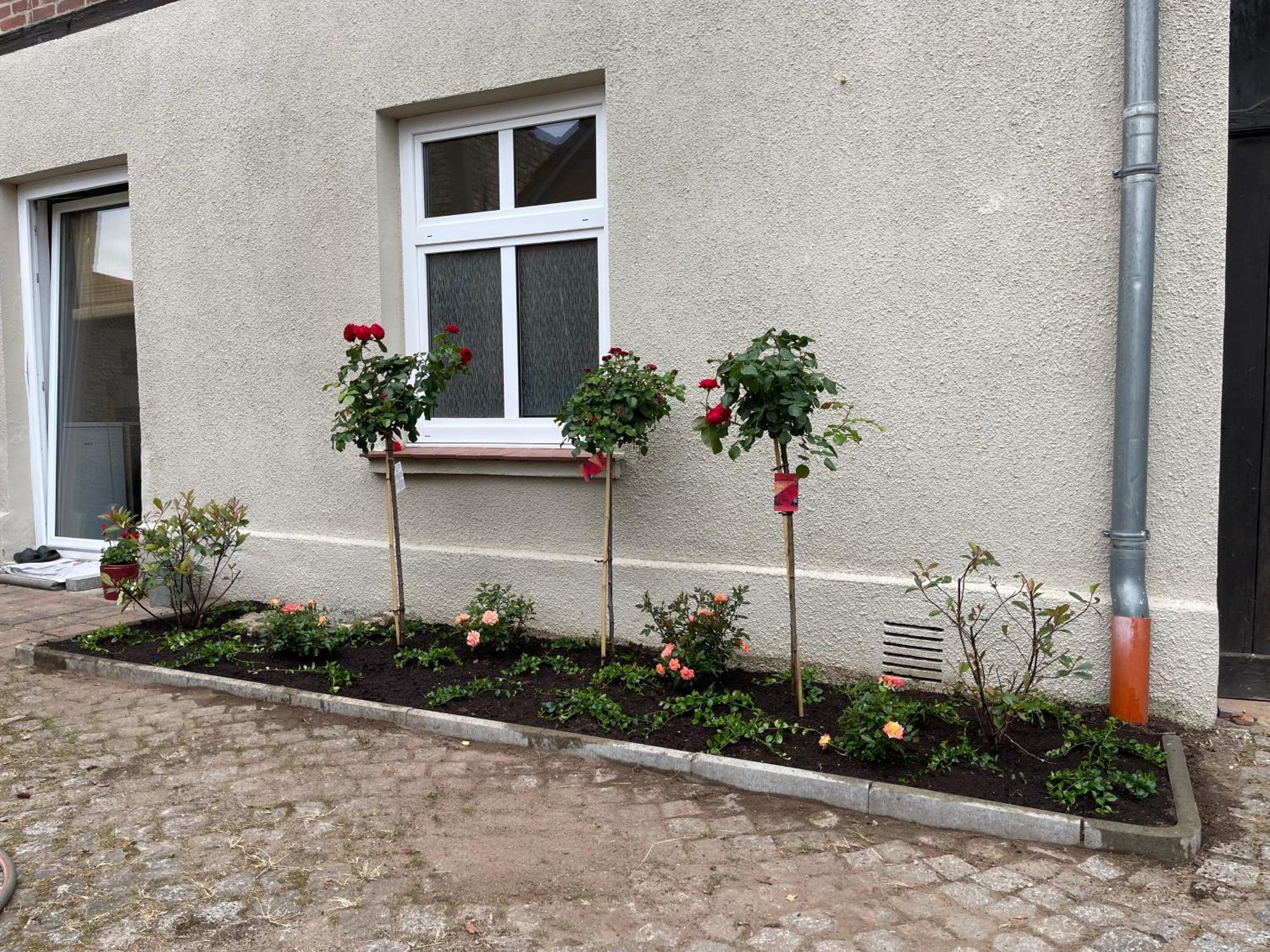 Apartament Hofquartier Schwerin Schwerin  Zewnętrze zdjęcie